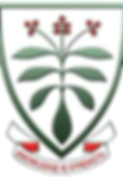 image (4).png