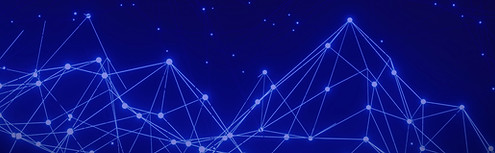 plexus net_edited_edited_edited.jpg
