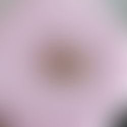 What Pawn Shop Near Me is Open Now in Virginia Beach?