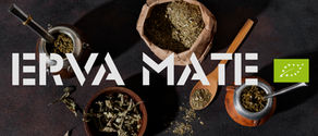 Erva Mate -Aumentar o Foco e Diminuir o Cansaço? É aqui!