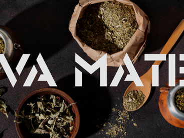 Erva Mate -Aumentar o Foco e Diminuir o Cansaço? É aqui! 
