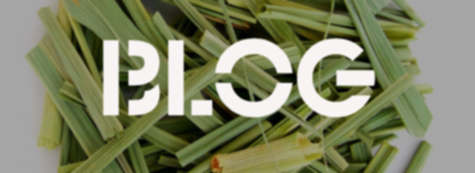 BLOG SITE.jpg