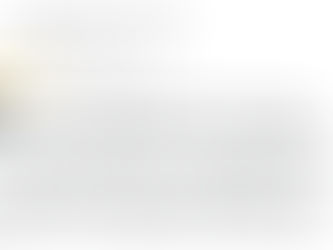 Absolute Professional