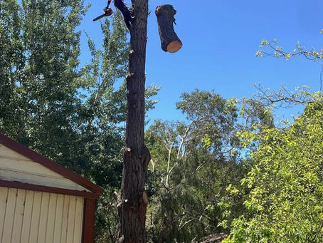 Tight Spot?