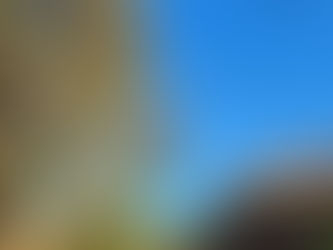 Mount Barker Tree Work