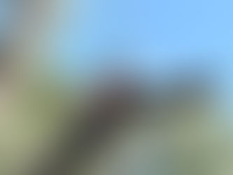 Ready To Take Your Call