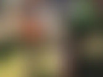 Truly A Family Business