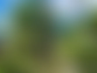 Apprentice Stepping Up