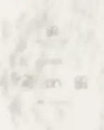 מוקאפ מיתוג - מור-13.webp