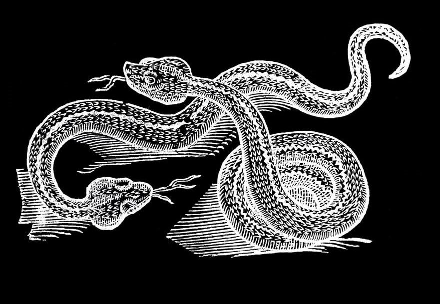 Cyprianus: St. Cyprian and the Black Book in Scandinavian Folklore - Simone Kotva