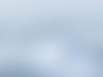 To LLC or Not to LLC, That is the Question?