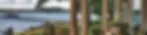 398657_e07d0846a5834f9da5257fd36135ae5e_mv2.webp