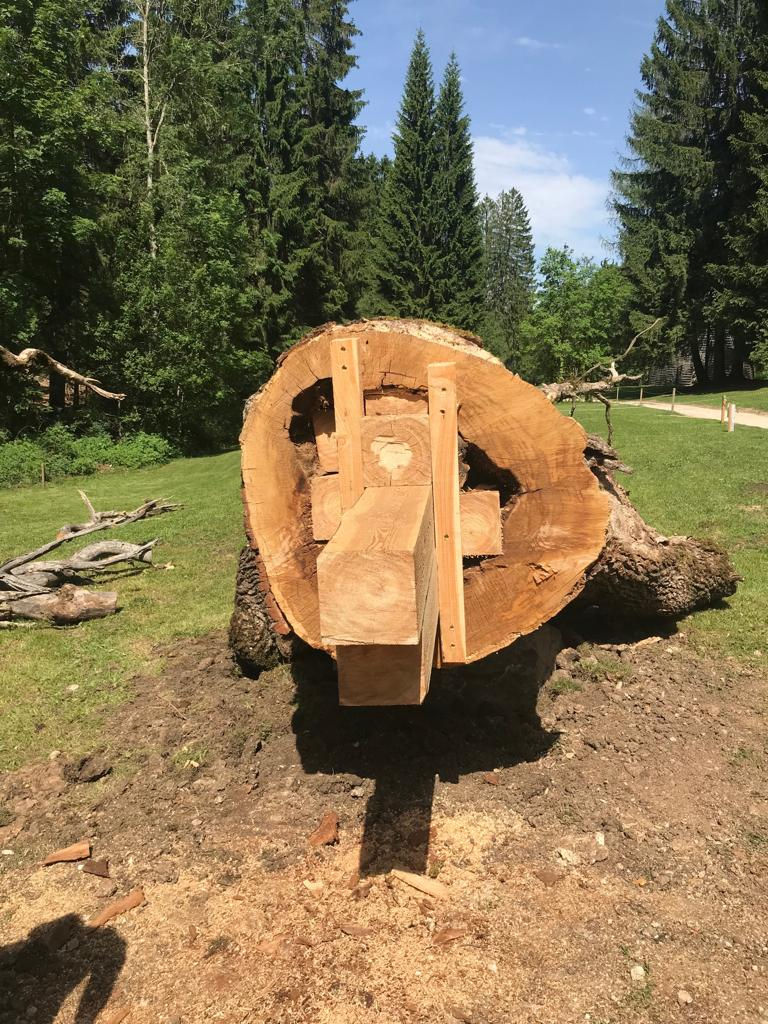 IMG-20190614-WA0008