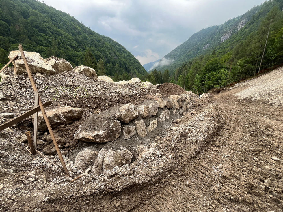 image_123650291 (1)