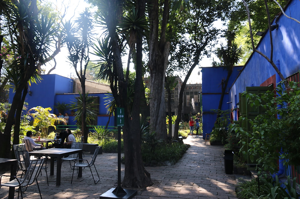 芙烈達·卡蘿博物館 中庭