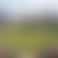 底特律老虎｜Comerica Park｜老虎球場｜美國職棒30主場巡禮