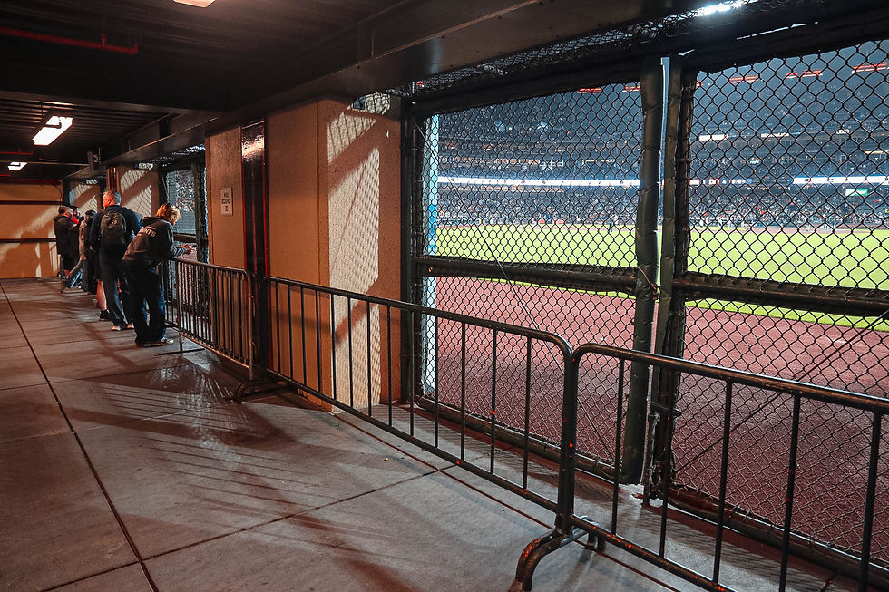 舊金山巨人甲骨文球場 Knothole