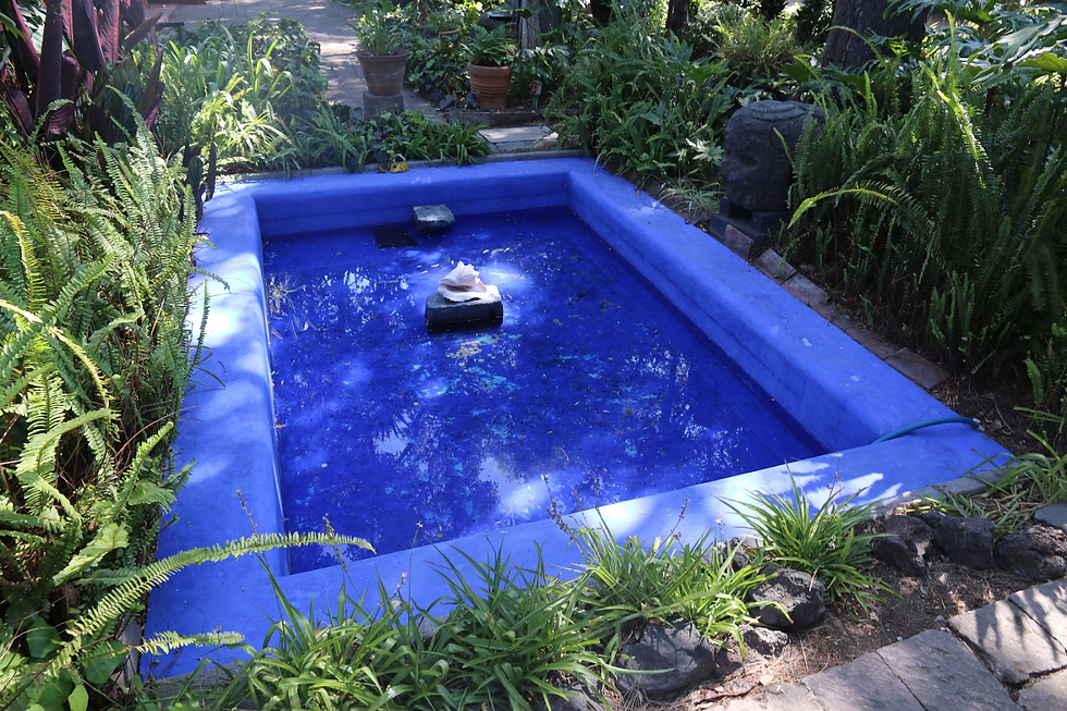 芙烈達·卡蘿博物館 中庭噴水池