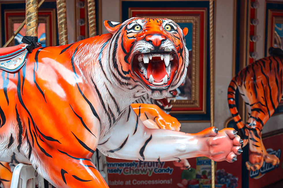 底特律老虎 旋轉木虎