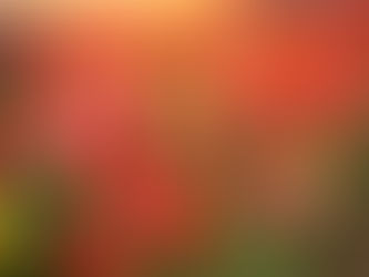 Spring Refresh: A Season to Reimagine Your Home in North Dallas