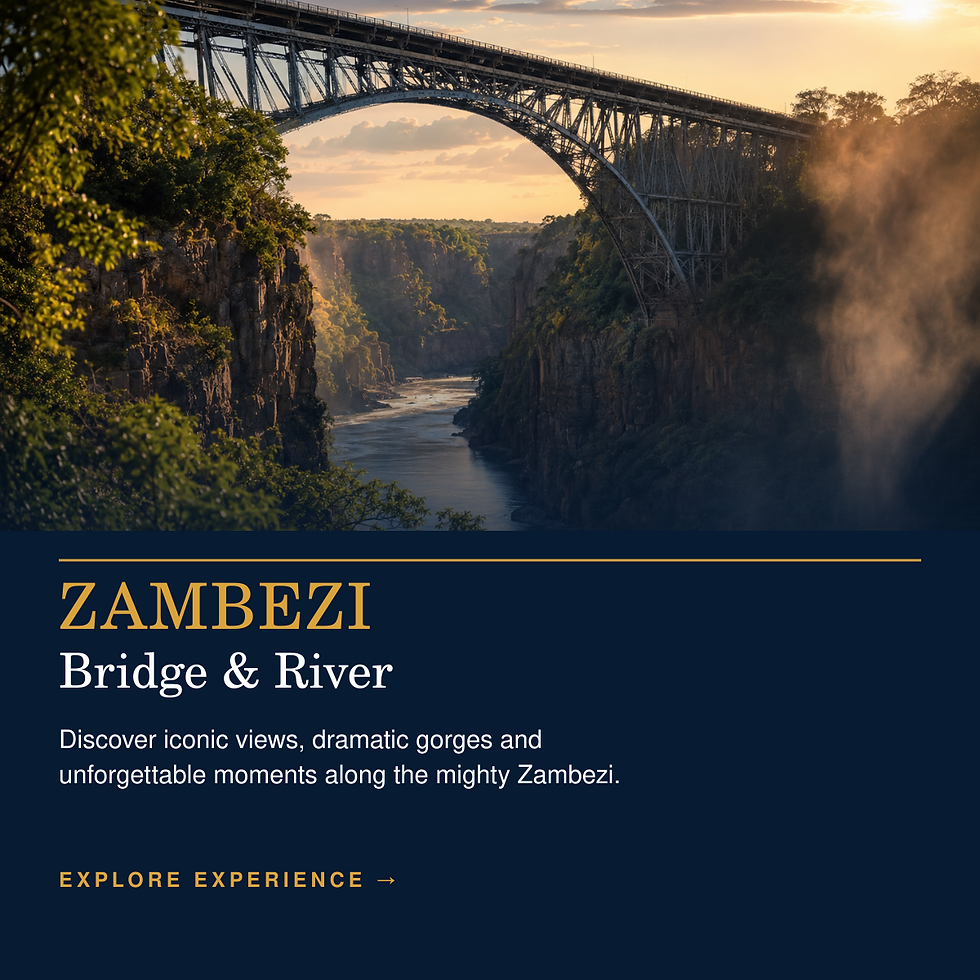 BASIAM TOURS Your Trusted Local Travel Partner