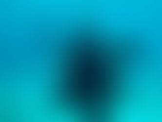 PADI Full Face Mask Diver Course