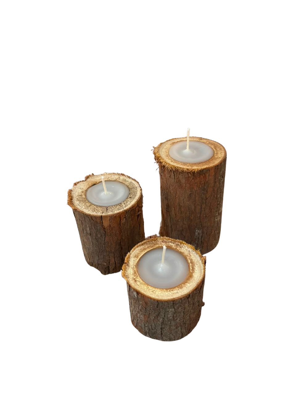 Velas Eucalipto com casca - 3 unidades