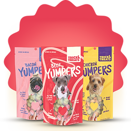 grupo yumpers web.png