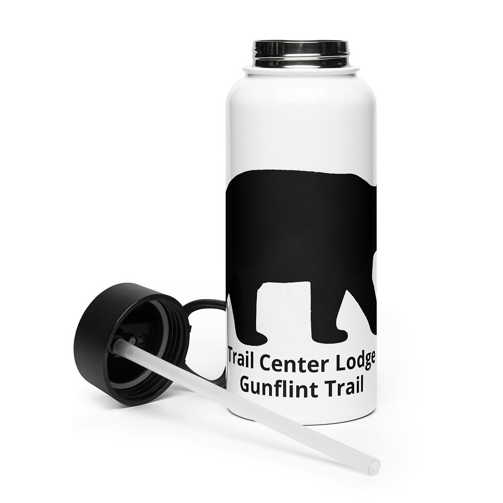 Thumbnail: Stainless steel water bottle with a straw lid