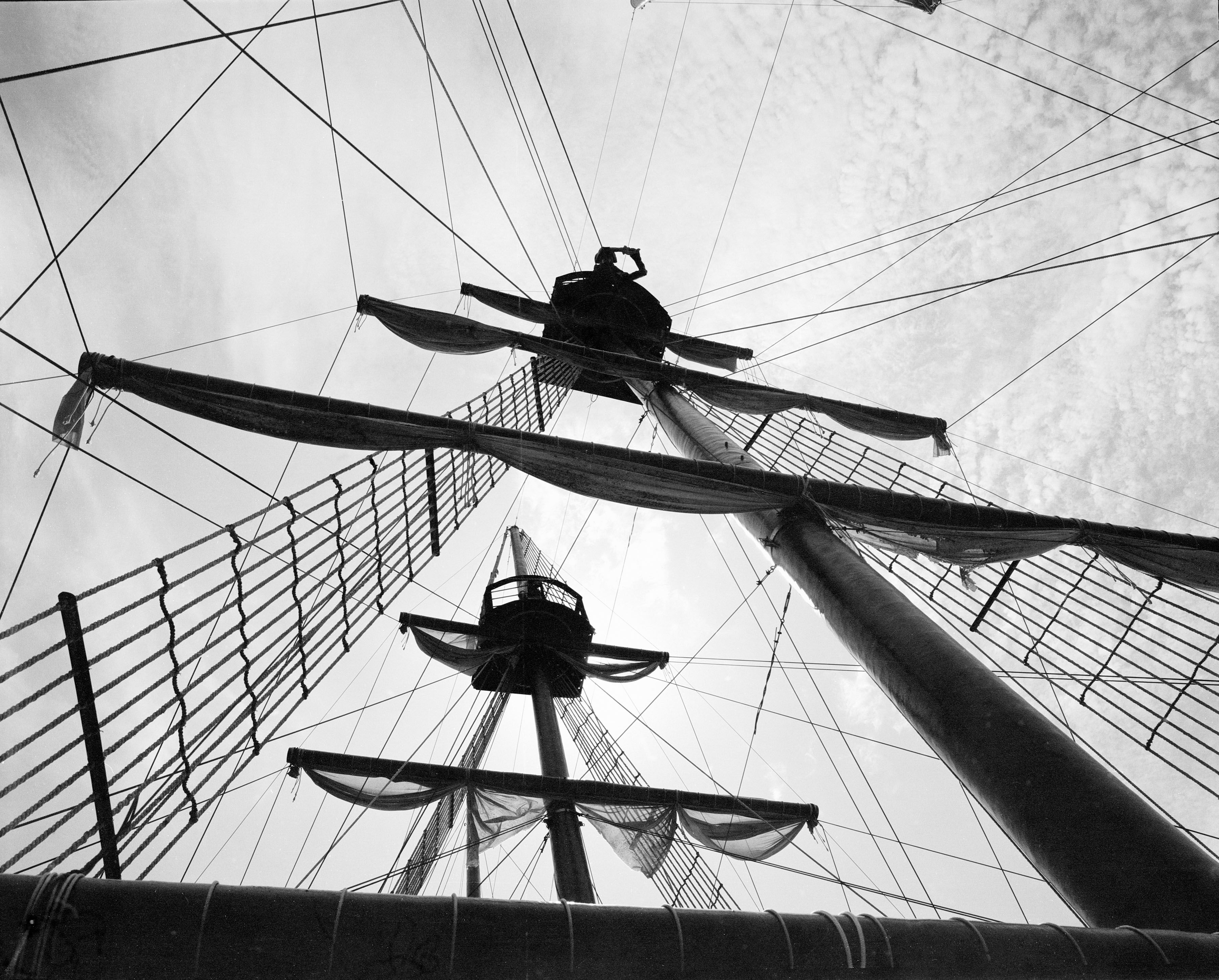 Cordas e mais cordas