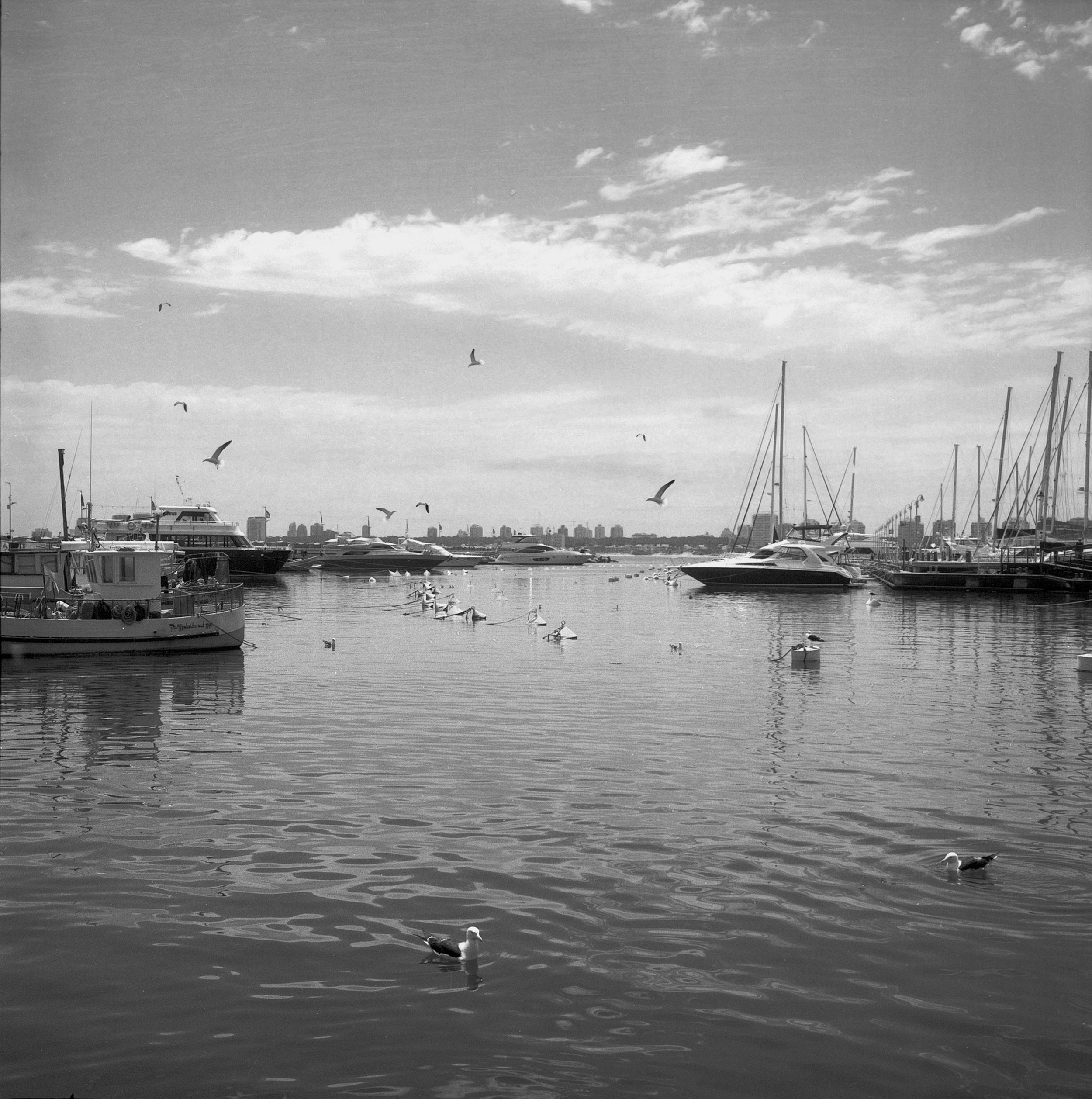 Marina de Punta Del Leste - Uruguai