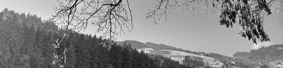 IMG_0935 2_edited_edited_edited.jpg