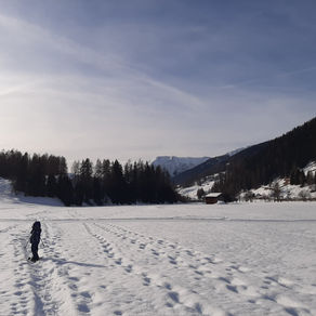 03.01.2022: Wilderboden