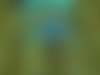Is this the Name of a Jewelry Brand? Schönherr's Blue Weevil