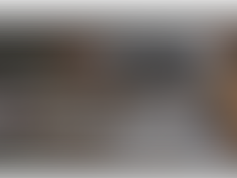 Introducing a Powerful New Partnership: Consultants Unite to Form an Innovative Venture