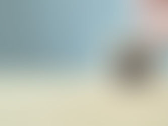 Value Stream Consulting joins GivingData’s consulting partner program