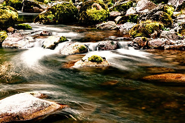 The river 976_edited_edited.jpg