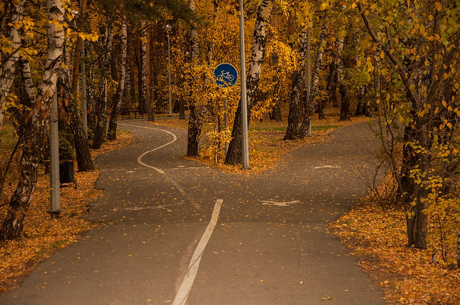 the crossroads forest road divides from one in two roads which each leads in different dir