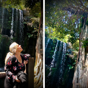 Let's amplify appreciation!