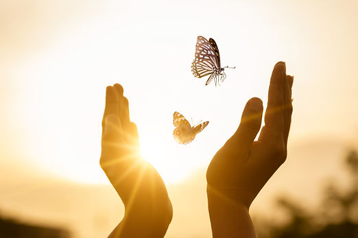 The girl frees the butterfly from moment Concept of freedom.jpg