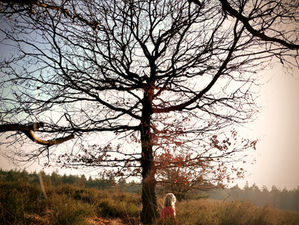 First chapter - The cracks in Life