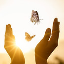 The girl frees the butterfly from  moment Concept of freedom_edited.jpg