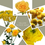 Thumbnail: Yellow Mixed Box