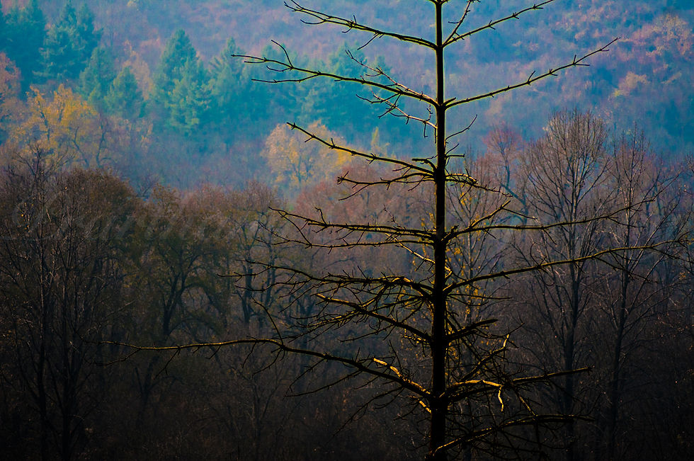 Kashmir Valley, India