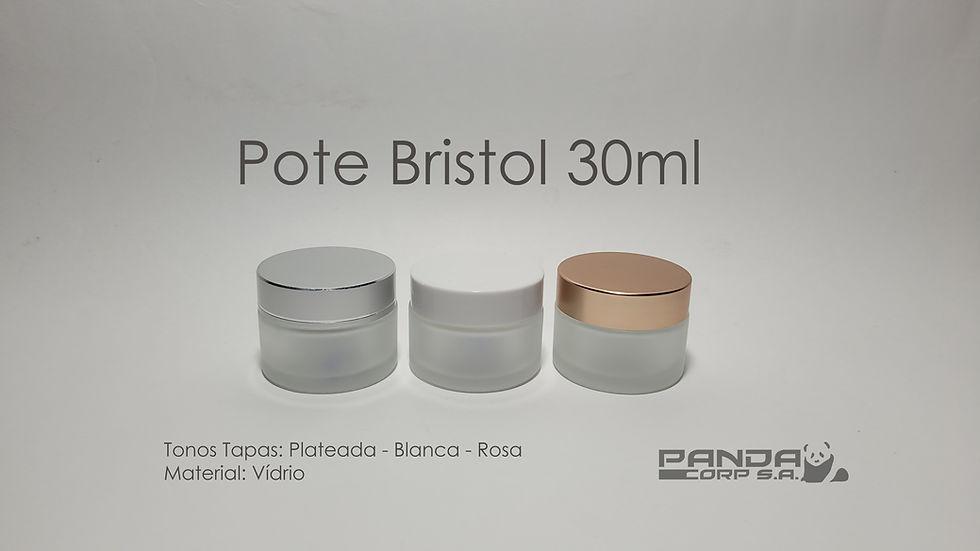 Miniatura: Pote Bristol