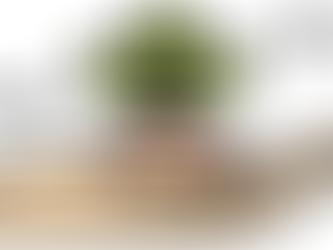 Introducing ESG Markets