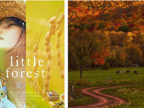 New Semester Begins: Embracing Autumn and Renewal