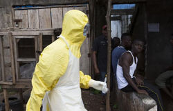 Health Worker In Protective Equipment Carries Sample Taken From Body Of Someone 