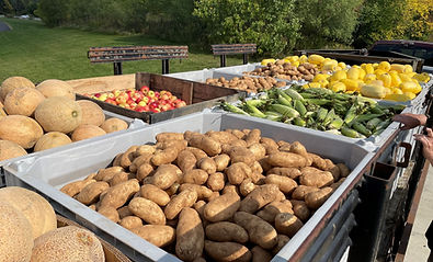 freshproduce.jpg