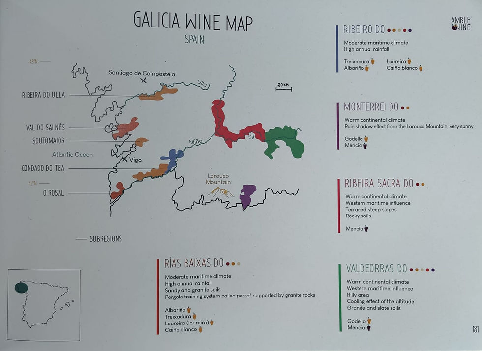 Map of the wine regions from Galicia for the Wine Snug by Amble Wine